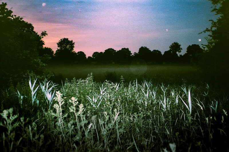 Analoge Fotografie – Filmkorn und natürliches Licht