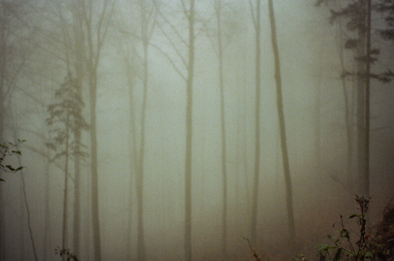 Analoge Fotografie – Farbspiel und Textur