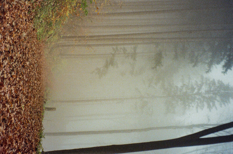 Analoge Fotografie – Licht und Schatten