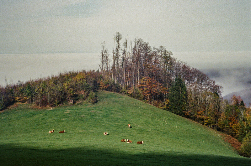 Analoge Fotografie – Moment und Bewegung